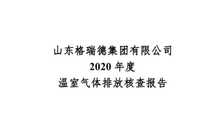 山东格瑞德集团有限公司-核查报告-2020年度
